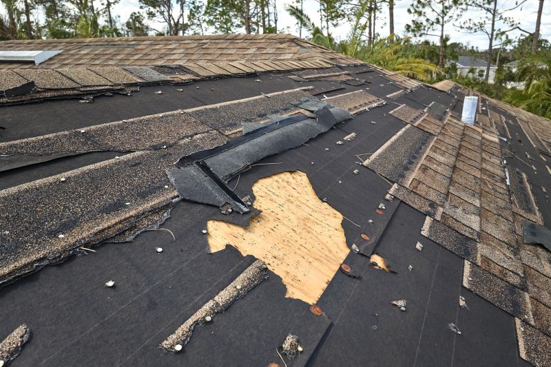 Dormer Repair detail