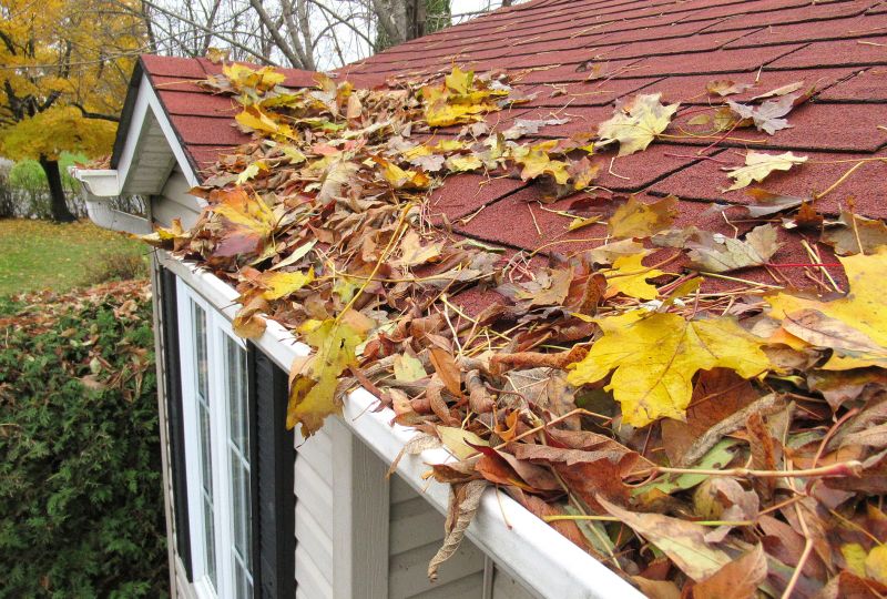 Fall Roofing Maintenance